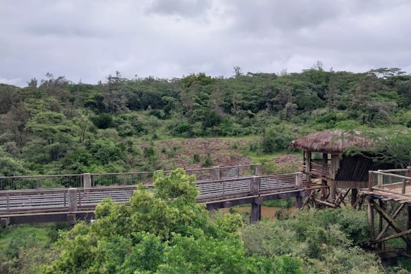 Guided Safari Walks