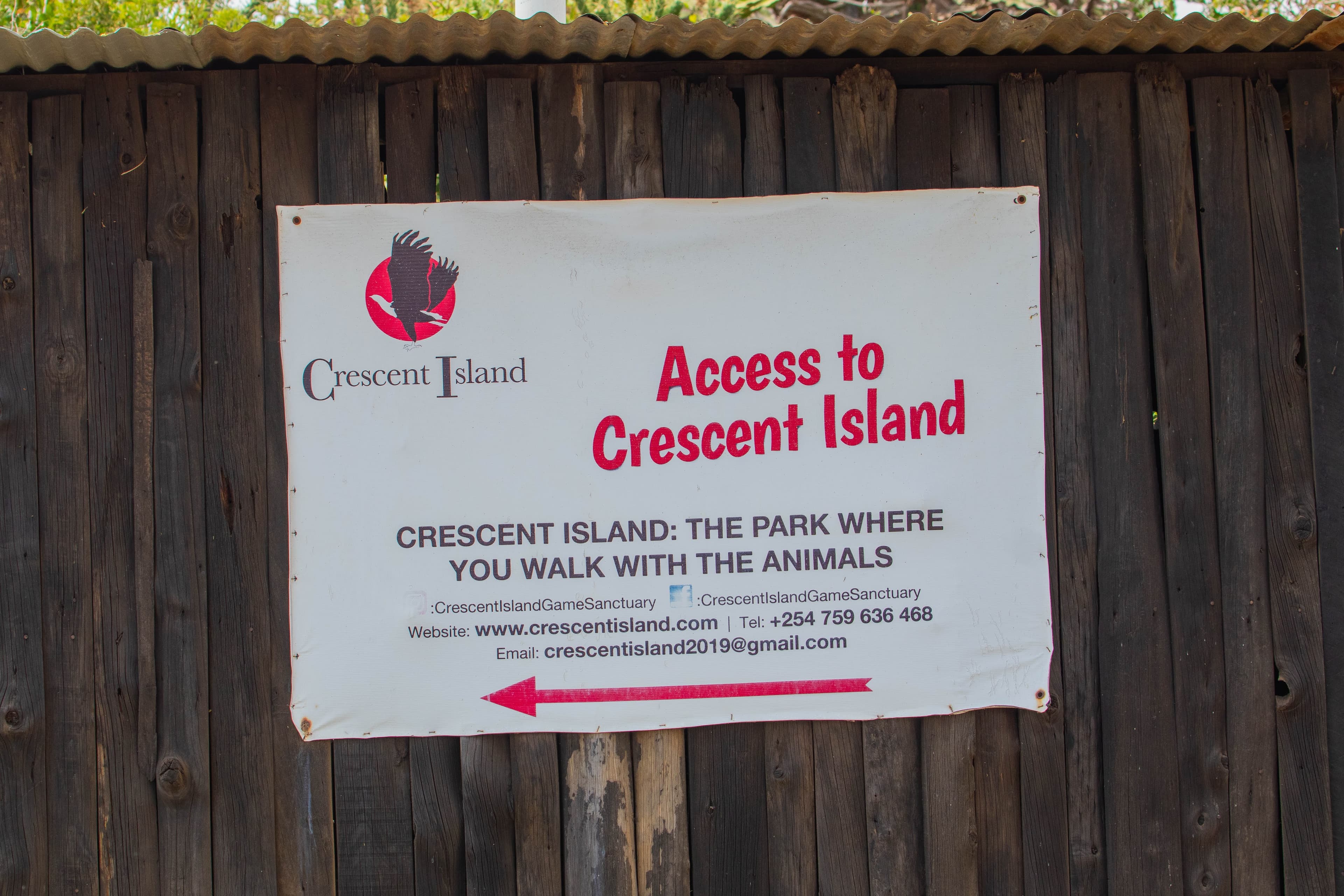 Crescent Island: A Hidden Ecological Gem in Lake Naivasha