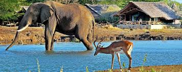 Tsavo National Park